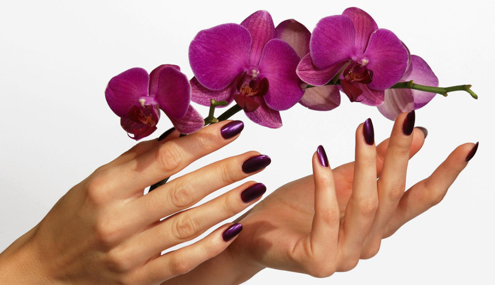 Beautiful hands with purple orchid